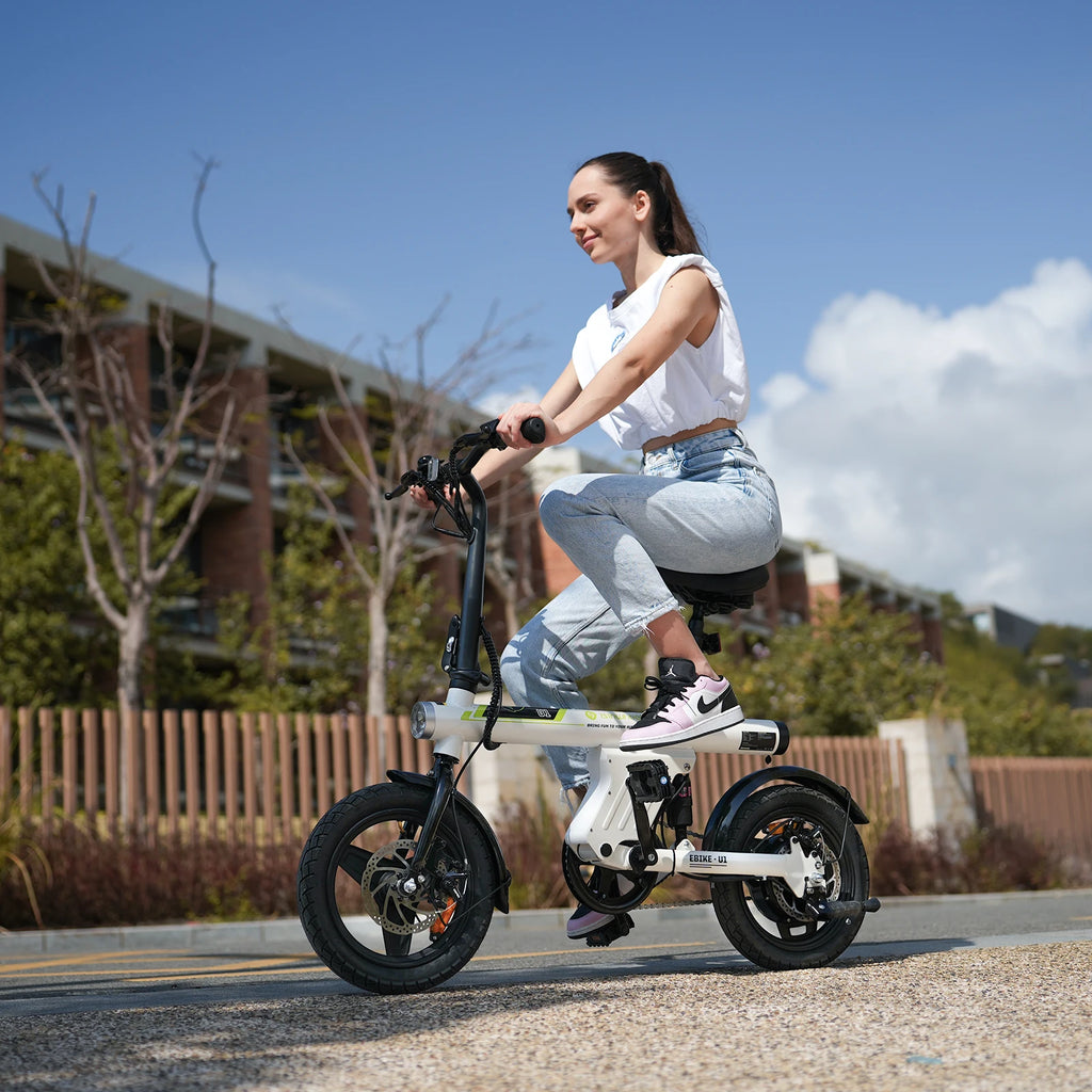 Adult Electric Foldable Bicycle
