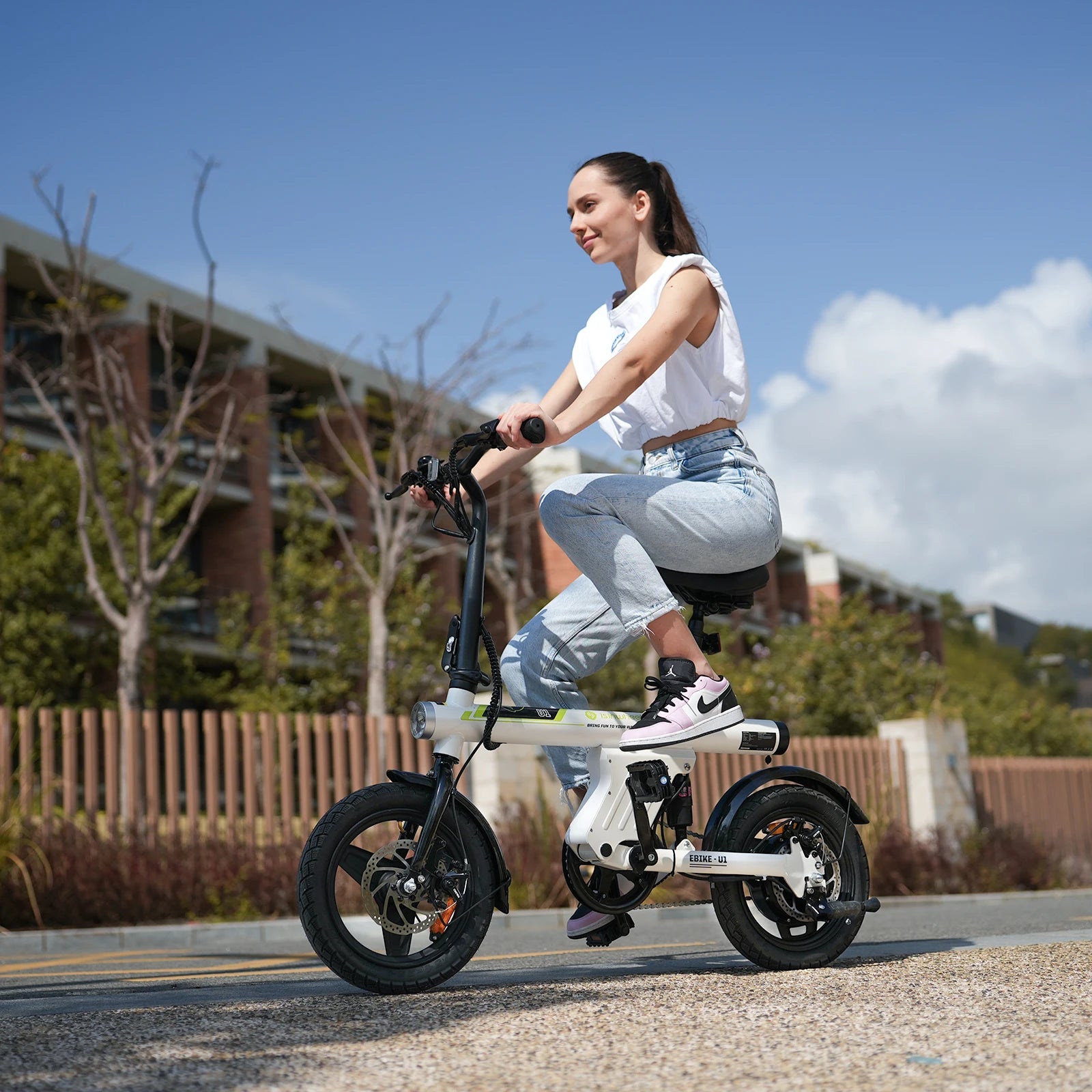 Adult Electric Foldable Bicycle
