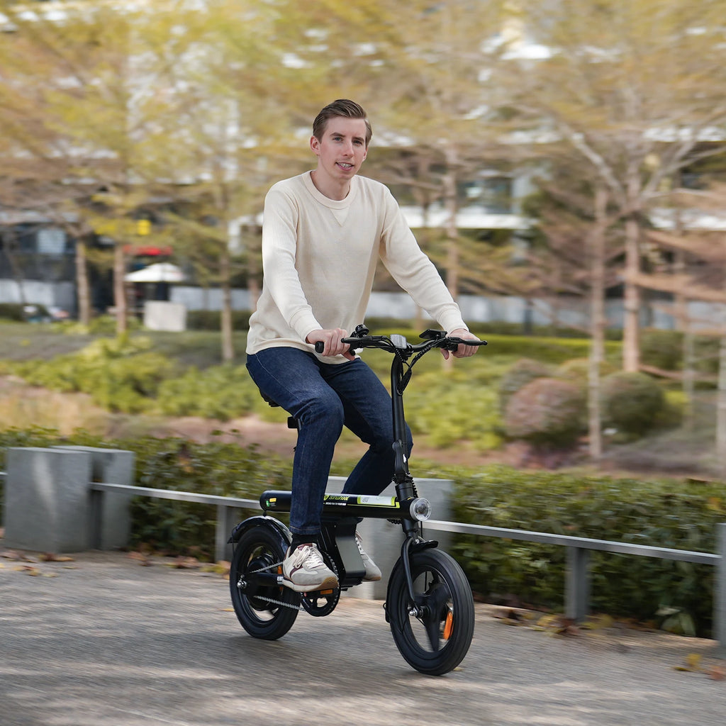 Adult Electric Foldable Bicycle