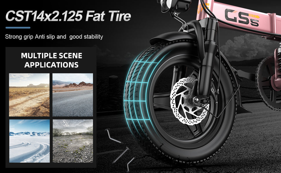 740W Folding Electric Bike