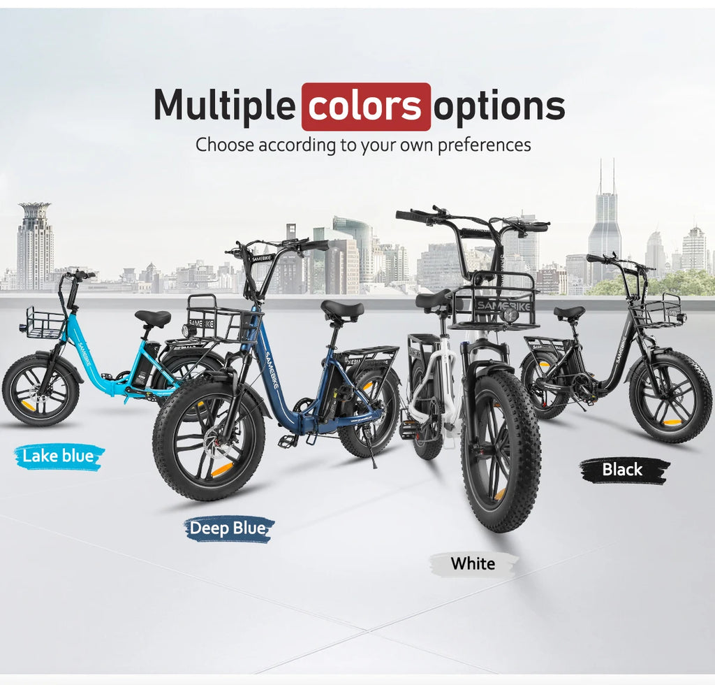 500w Pro E-Bike