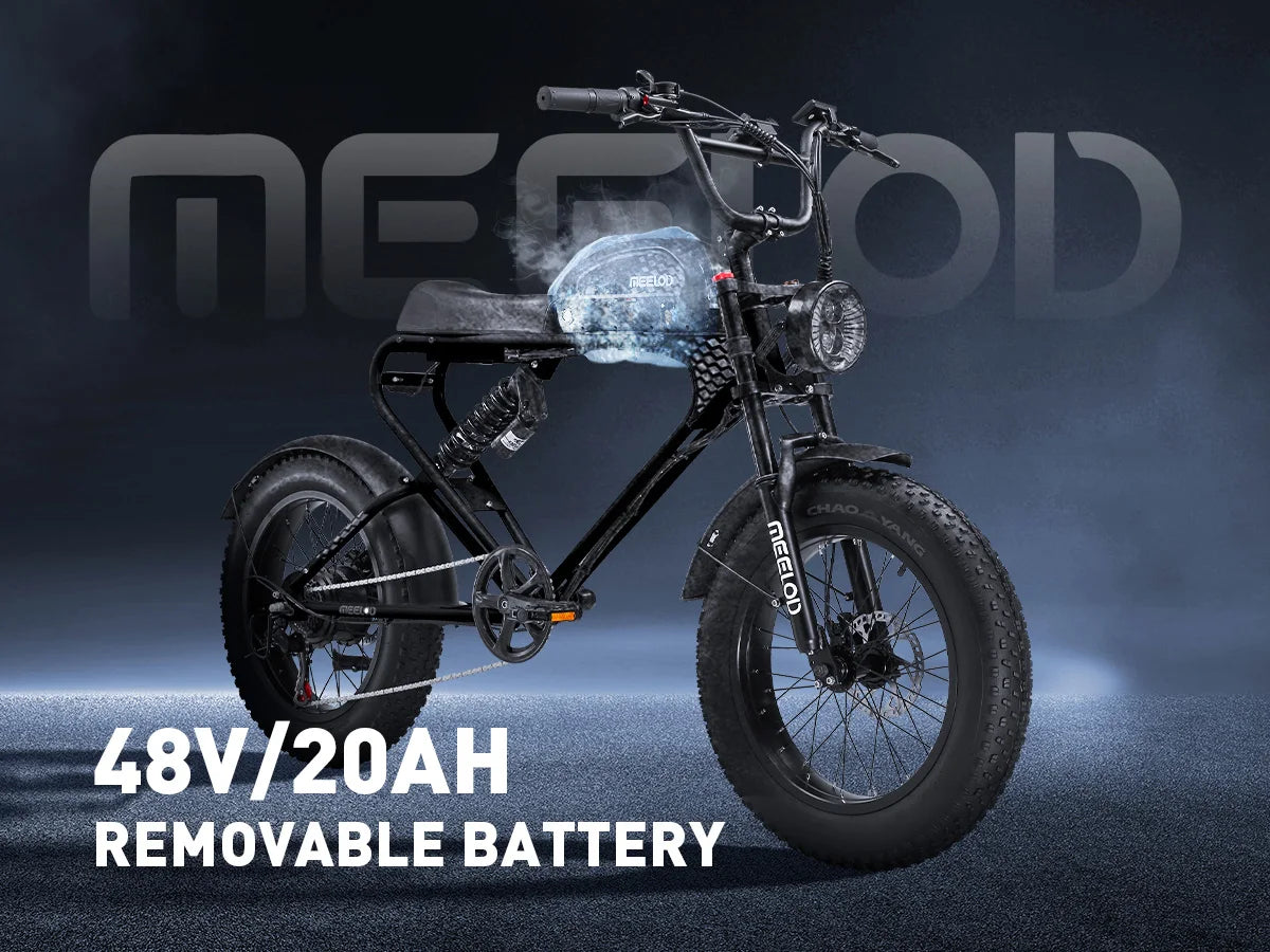 Fat Tire E - Bike