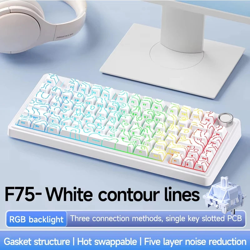 Wireless Gaming Mechanical Keyboard
