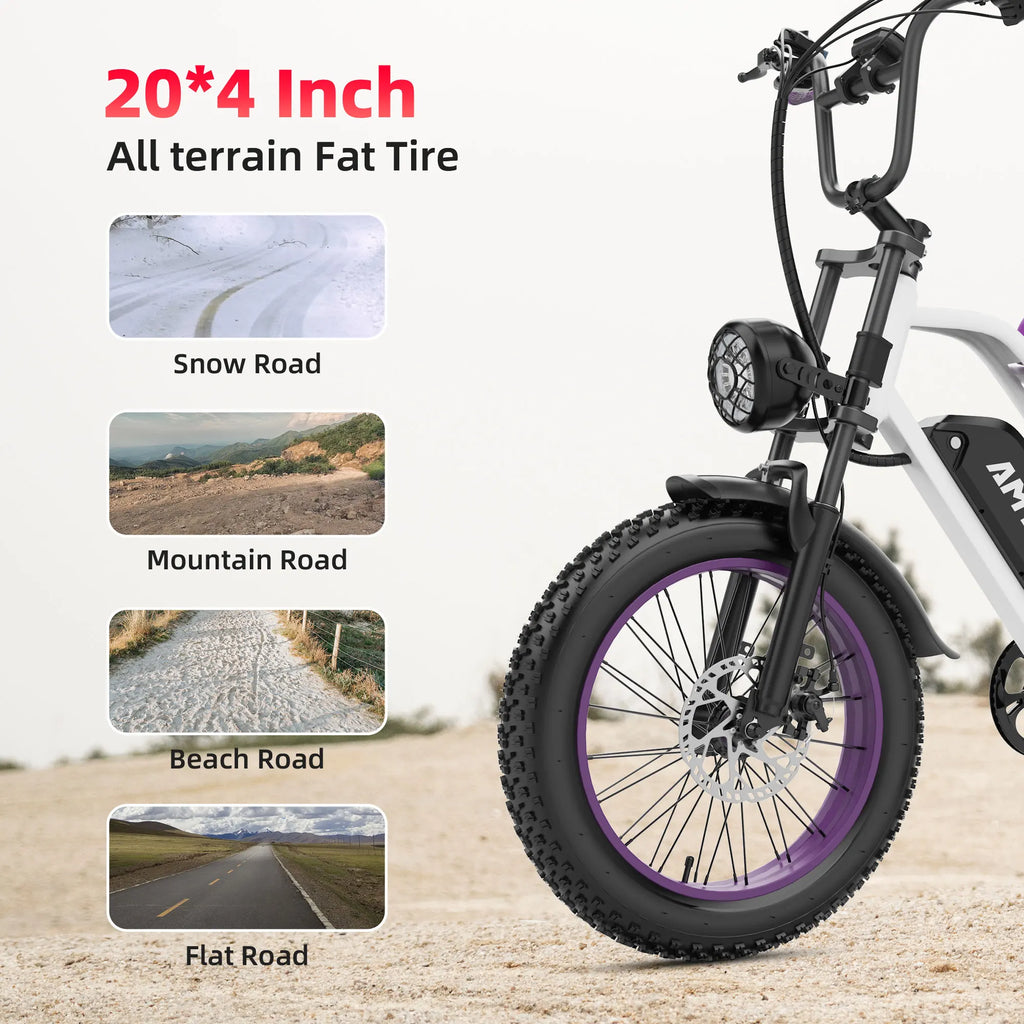 1000w Adults Electric Bike