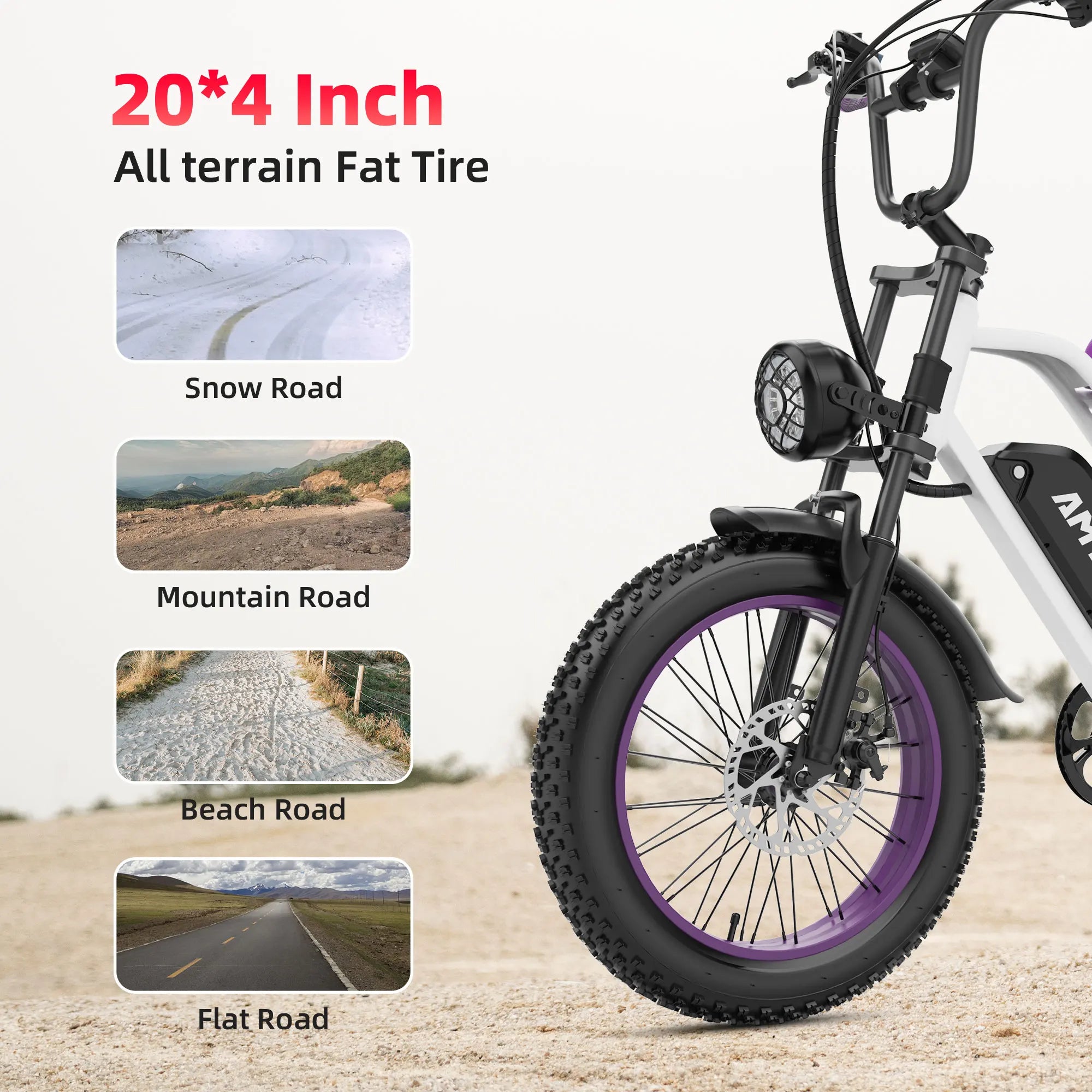 1000w Adults Electric Bike