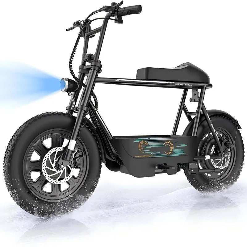 16 Inch Fat Tire Electric Scooter