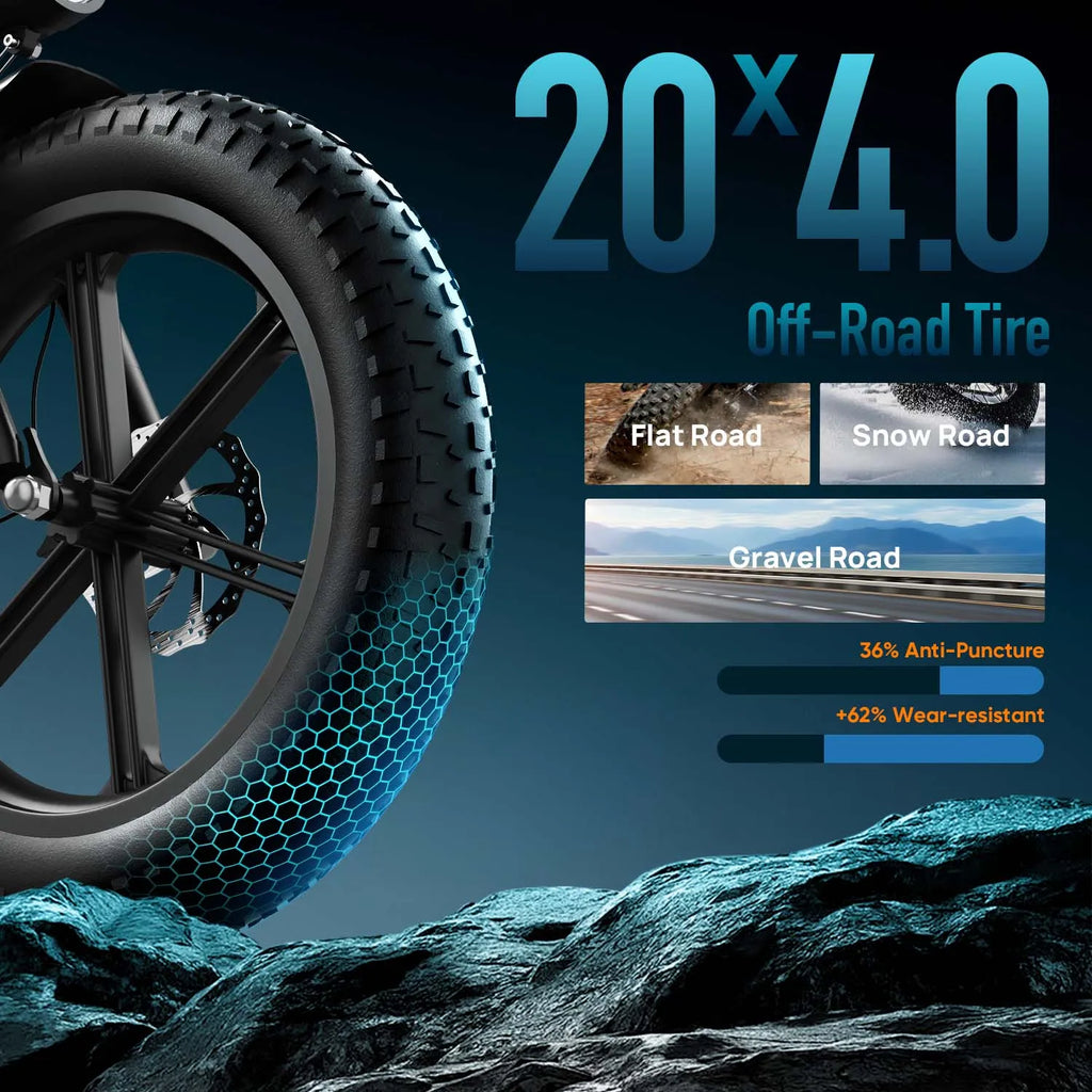 Fat Tire Electric Bicycle