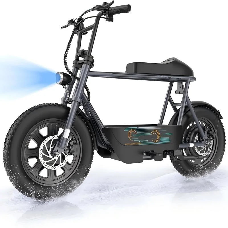 16 Inch Fat Tire Electric Scooter