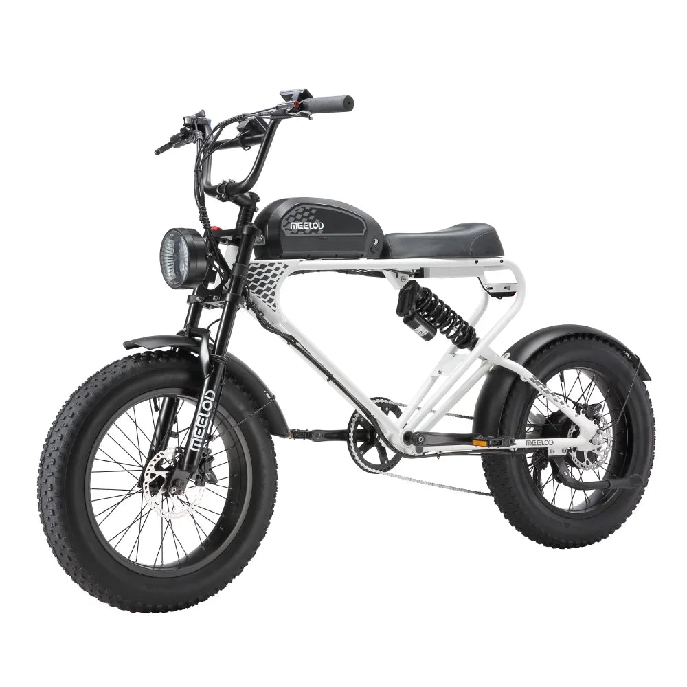 Fat Tire E - Bike