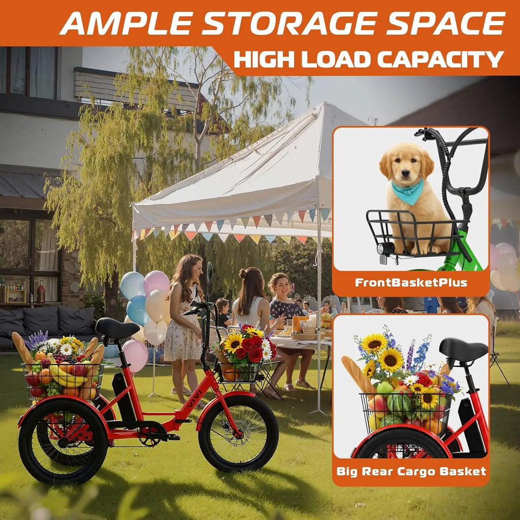 Fat Tire Electric Tricycle for Adults