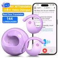 Translation Earphones