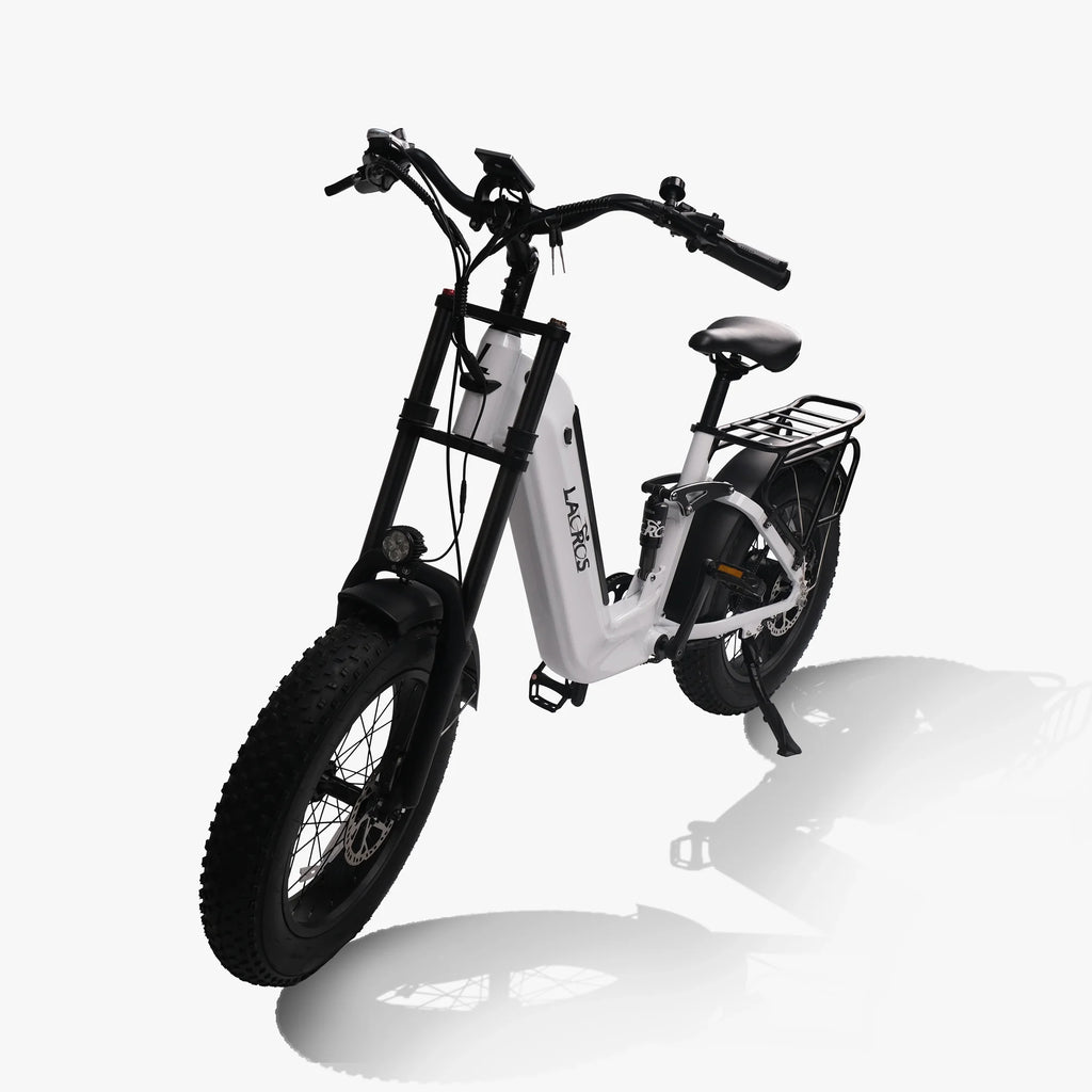 Fat Tire E-Mountain bike