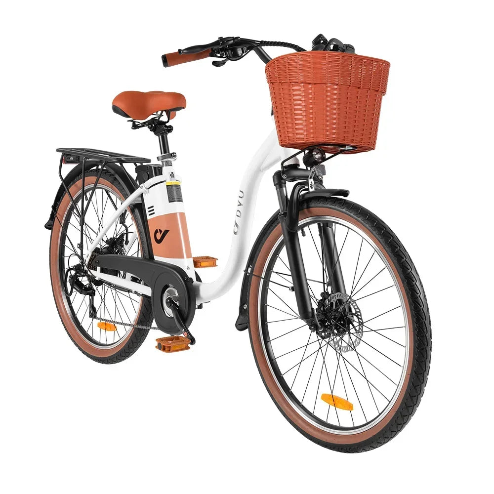 Adult Electric Bicycle