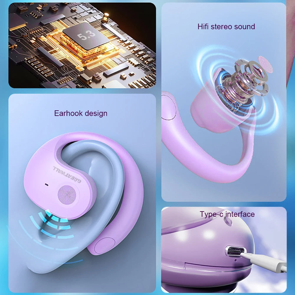 Translation Earphones