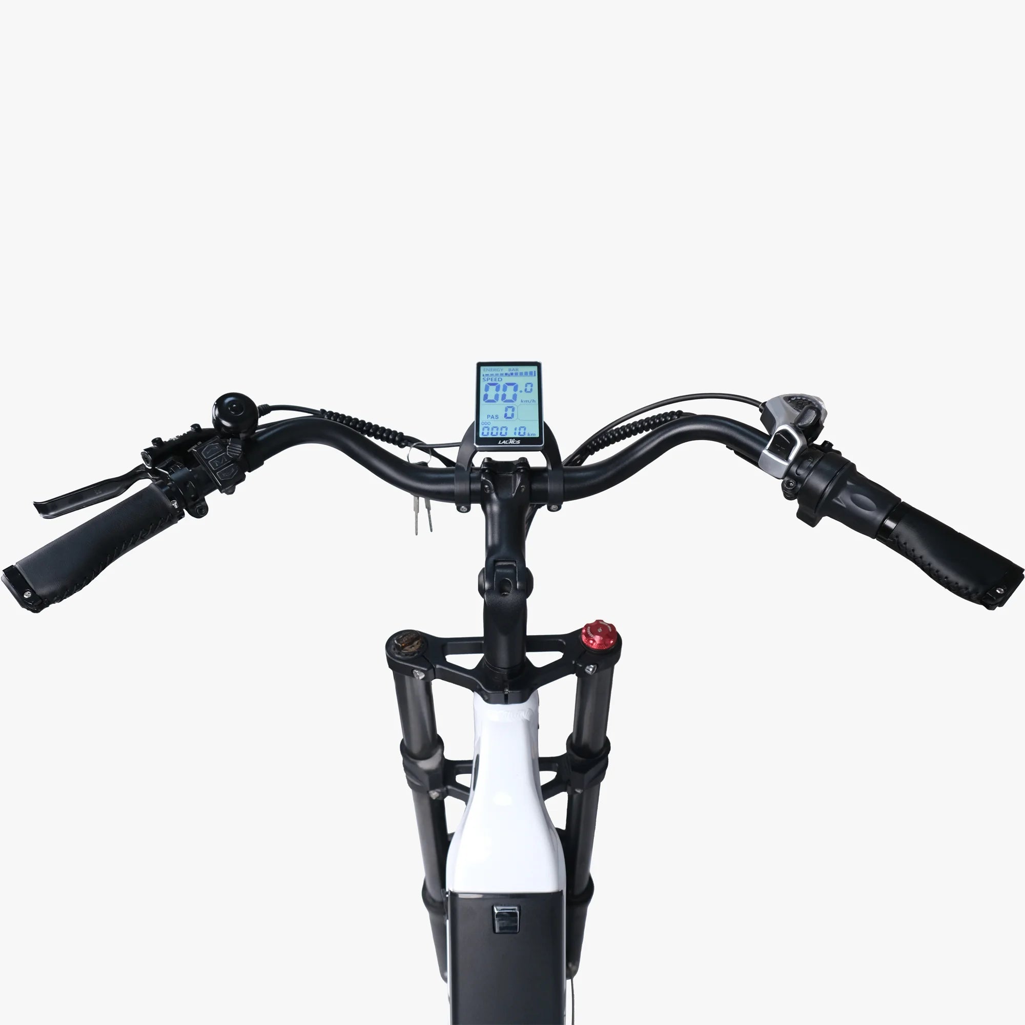 Fat Tire E-Mountain bike