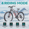 All-Terrain E-Bike