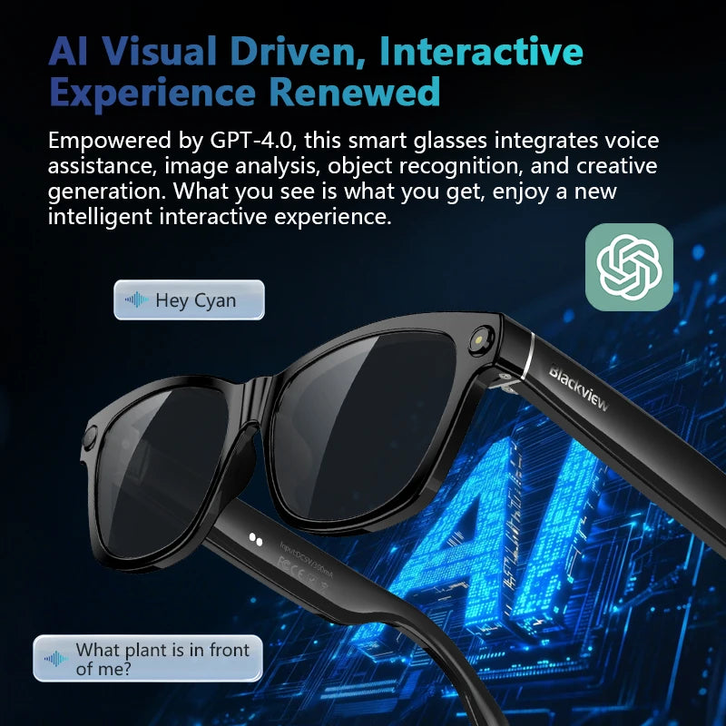 Smart Glasses