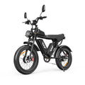 Fat Tire Mountain Bike