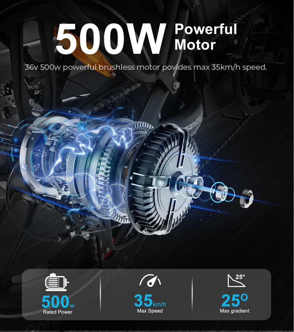 500w Pro E-Bike