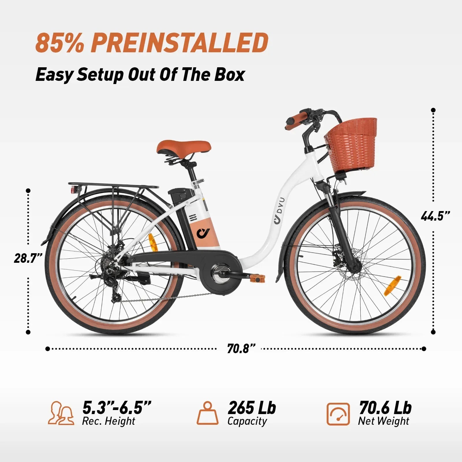 Adult Electric Bicycle