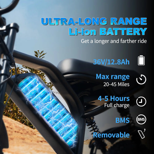 16" Mountain Electric Bike