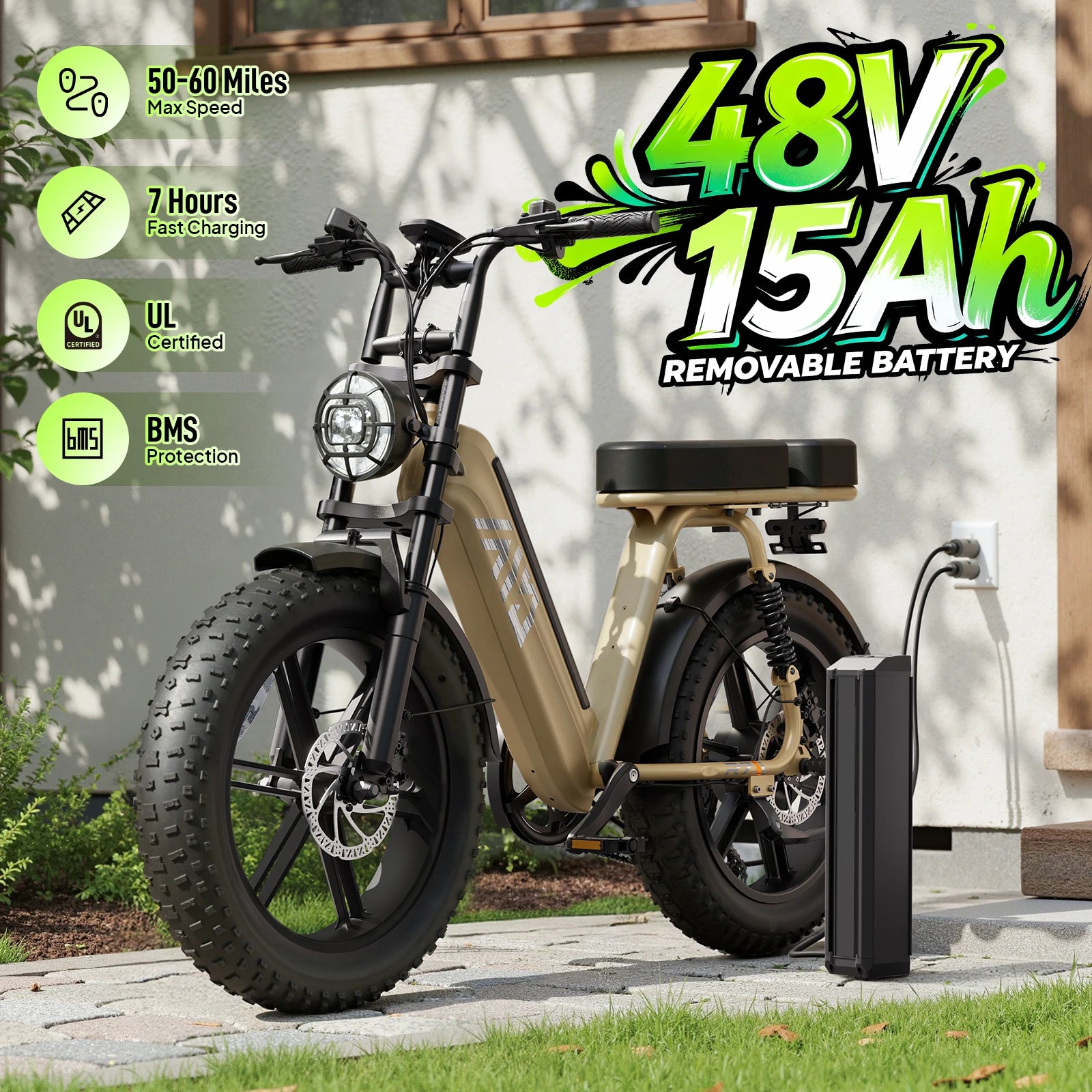 1500W Electric Bike With Rear Seat