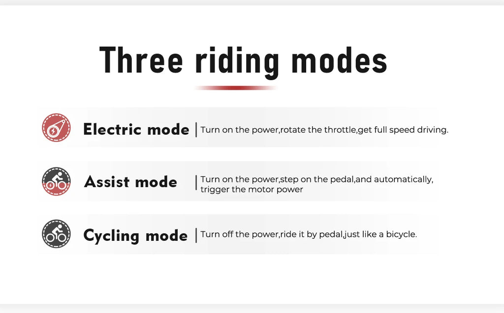 500w Pro E-Bike