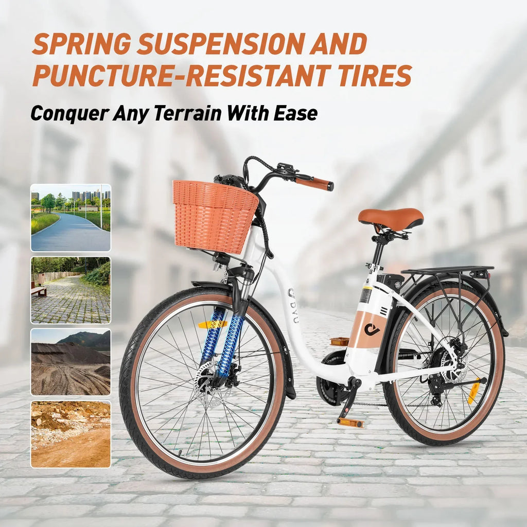 Adult Electric Bicycle