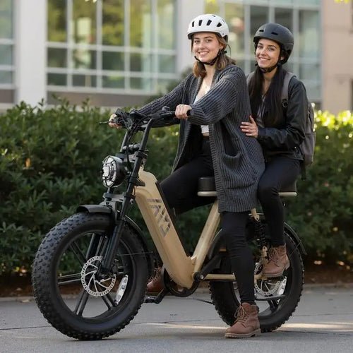 1500W Electric Bike With Rear Seat