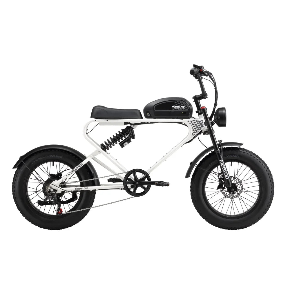 Fat Tire E - Bike