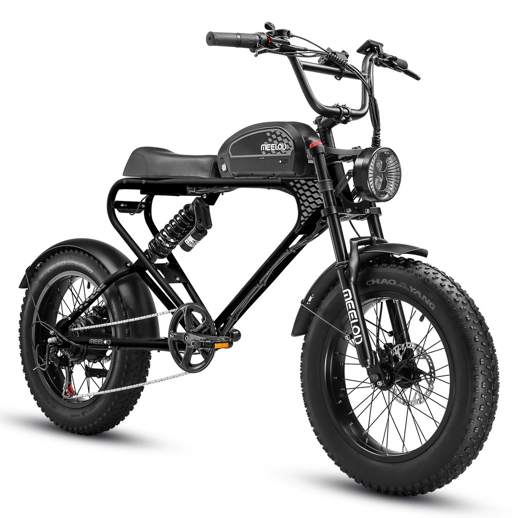 Fat Tire E - Bike