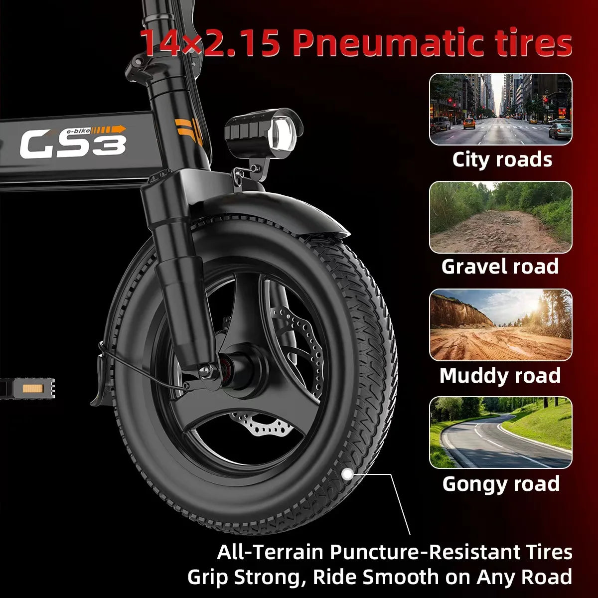 14 Inch Electric Bike for Adults