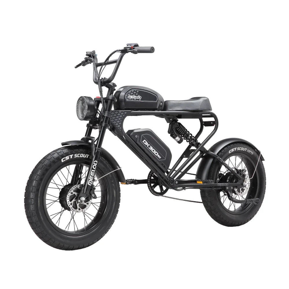 Fat Tire E-Mountain bike