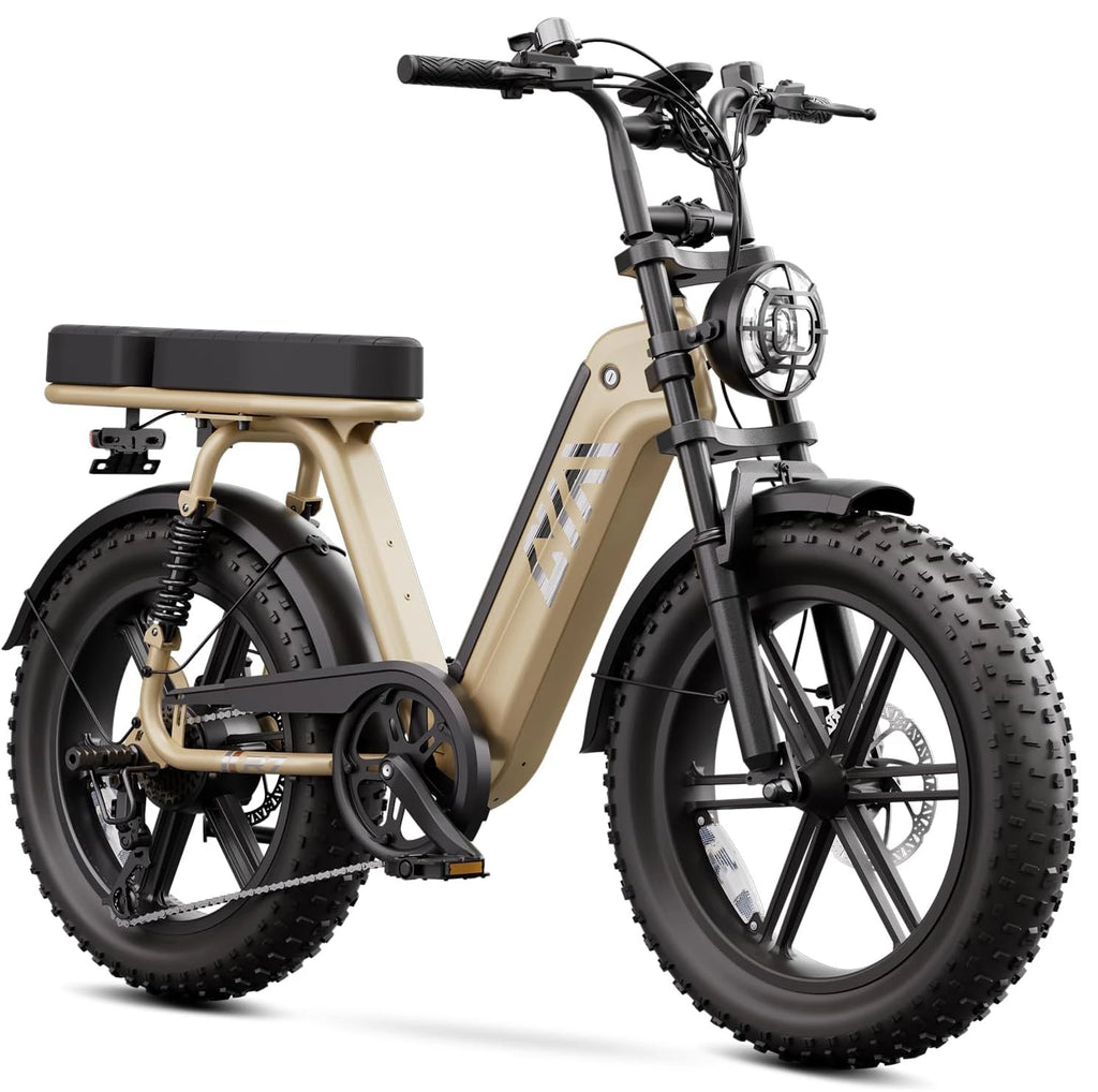 1500W Electric Bike With Rear Seat