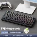 Wireless Gaming Mechanical Keyboard