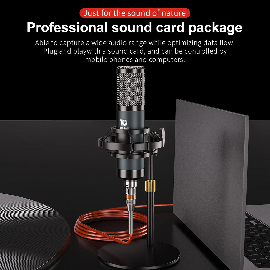 Studio Recording Condenser Microphone,