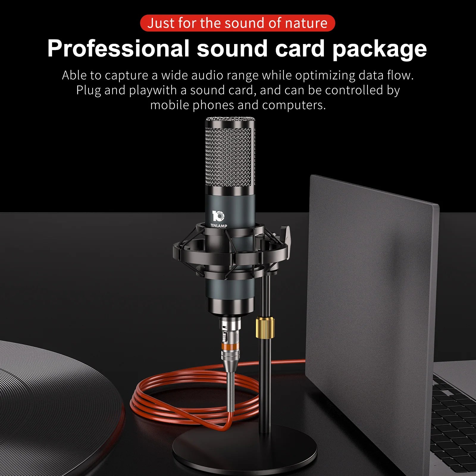 Studio Recording Condenser Microphone,