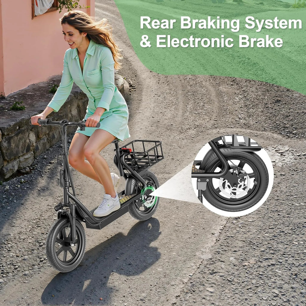 Foldable Electric Bicycle