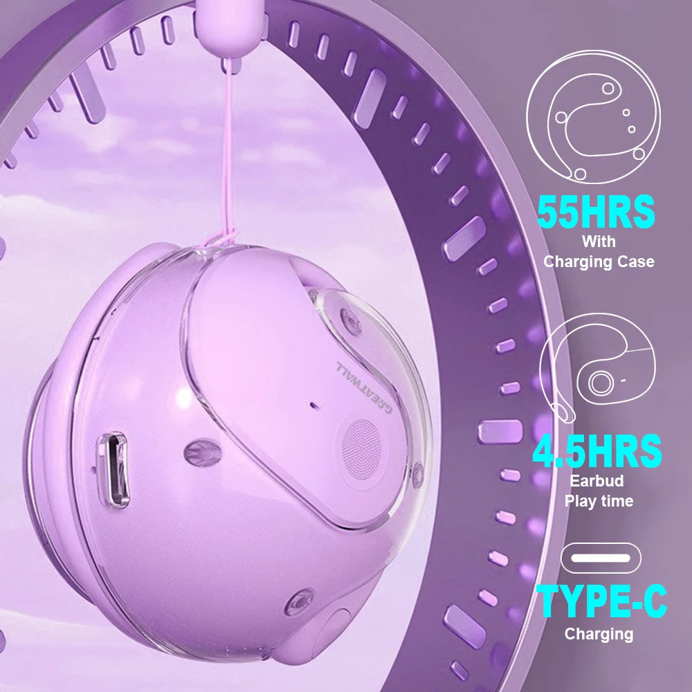 Translation Earphones