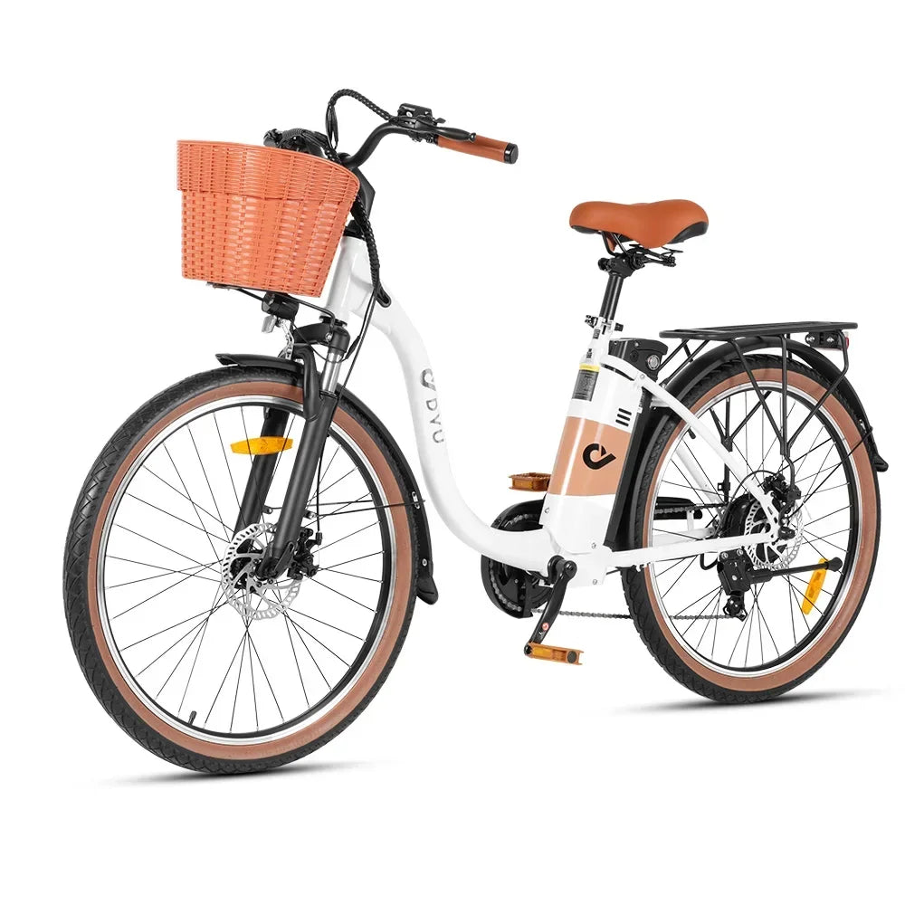 Adult Electric Bicycle