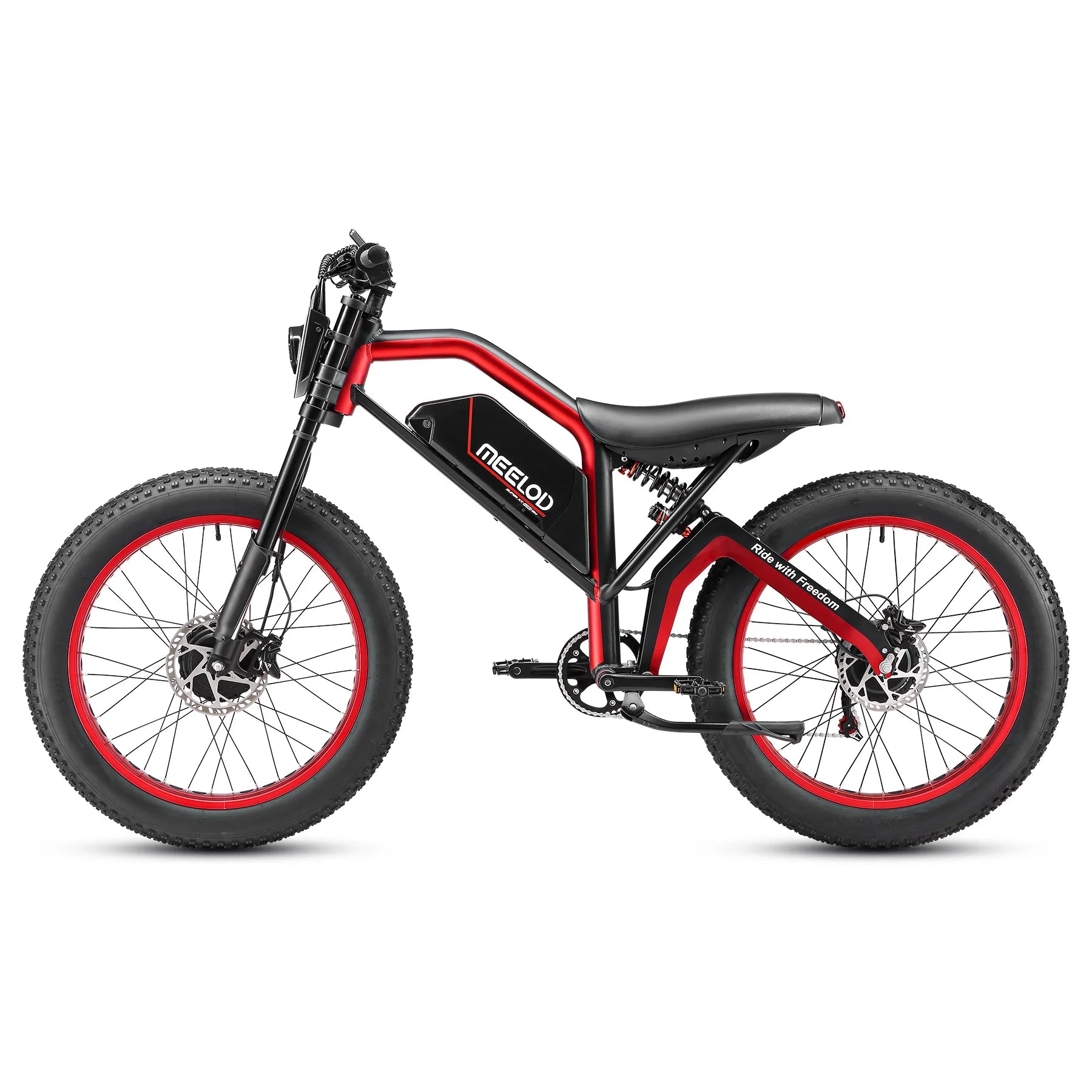 1000W Electric Mountain Bike