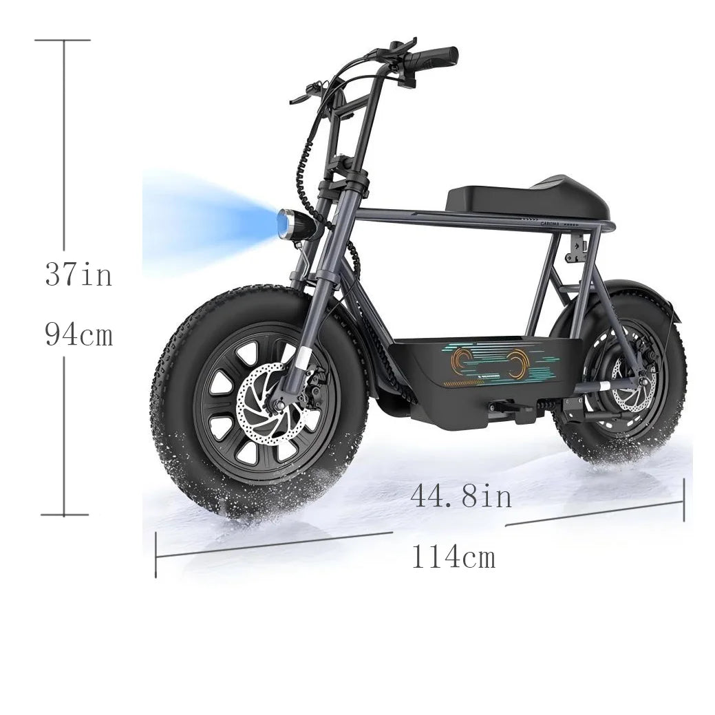 16 Inch Fat Tire Electric Scooter