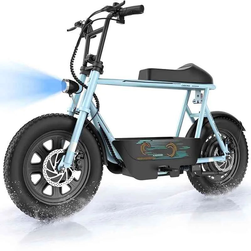 16 Inch Fat Tire Electric Scooter
