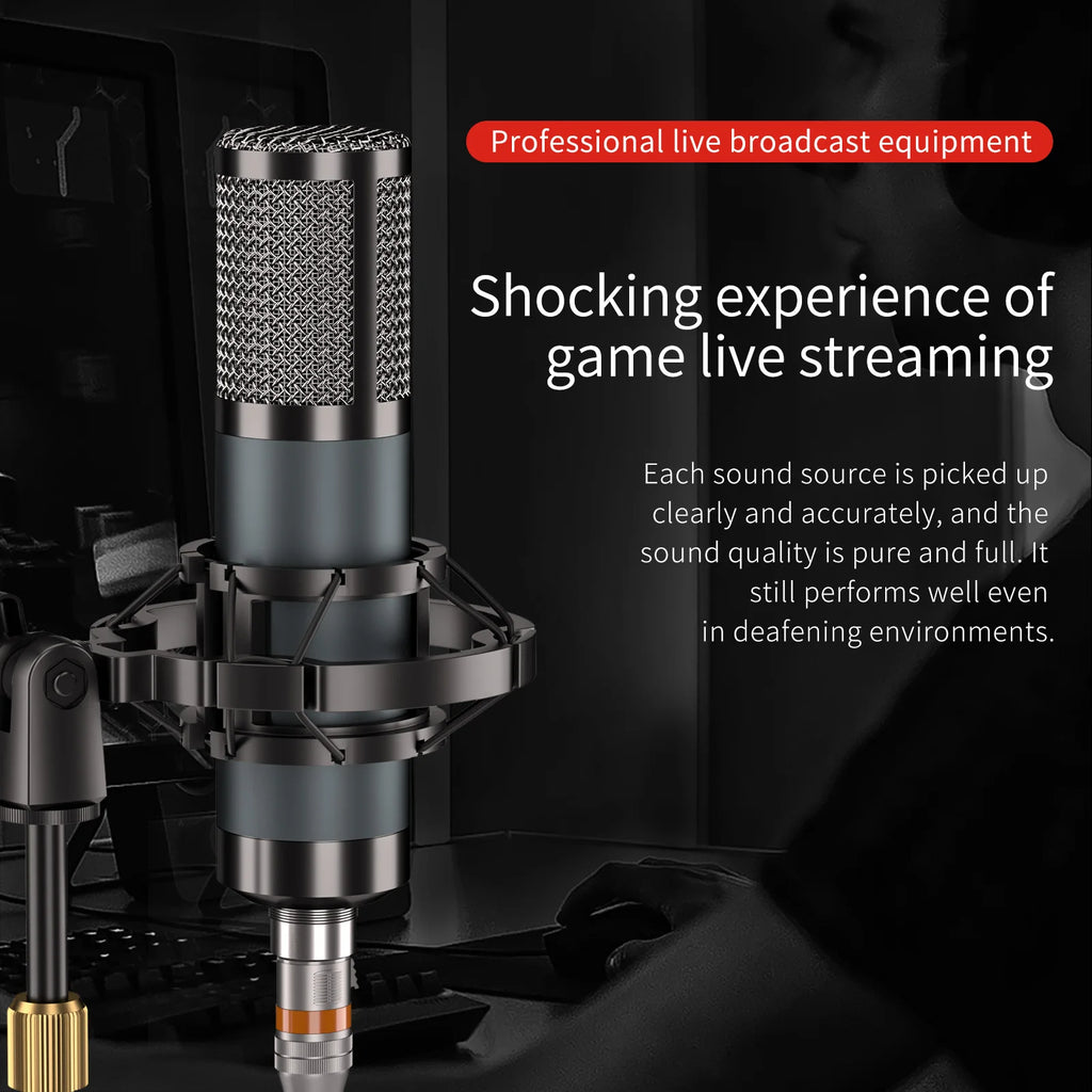 Studio Recording Condenser Microphone,