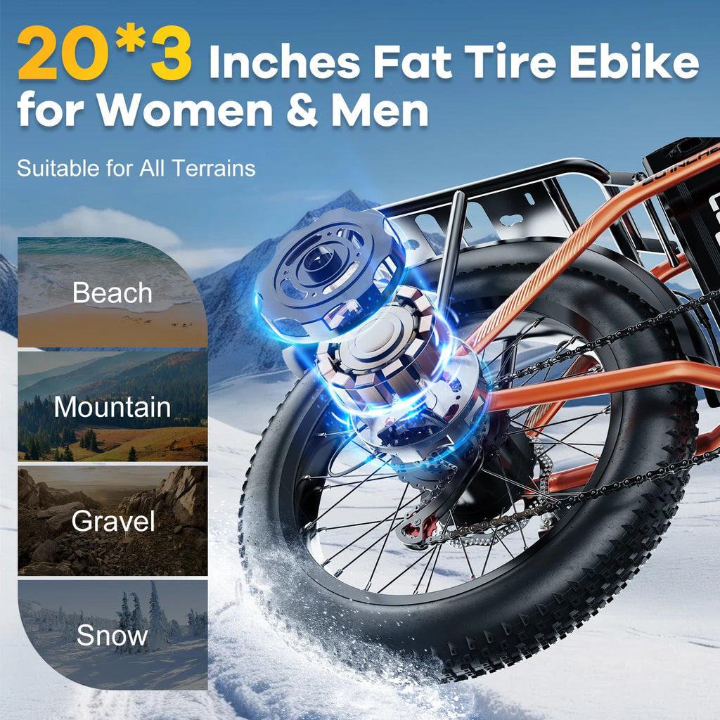 20" 1000W Folding Electric Bike