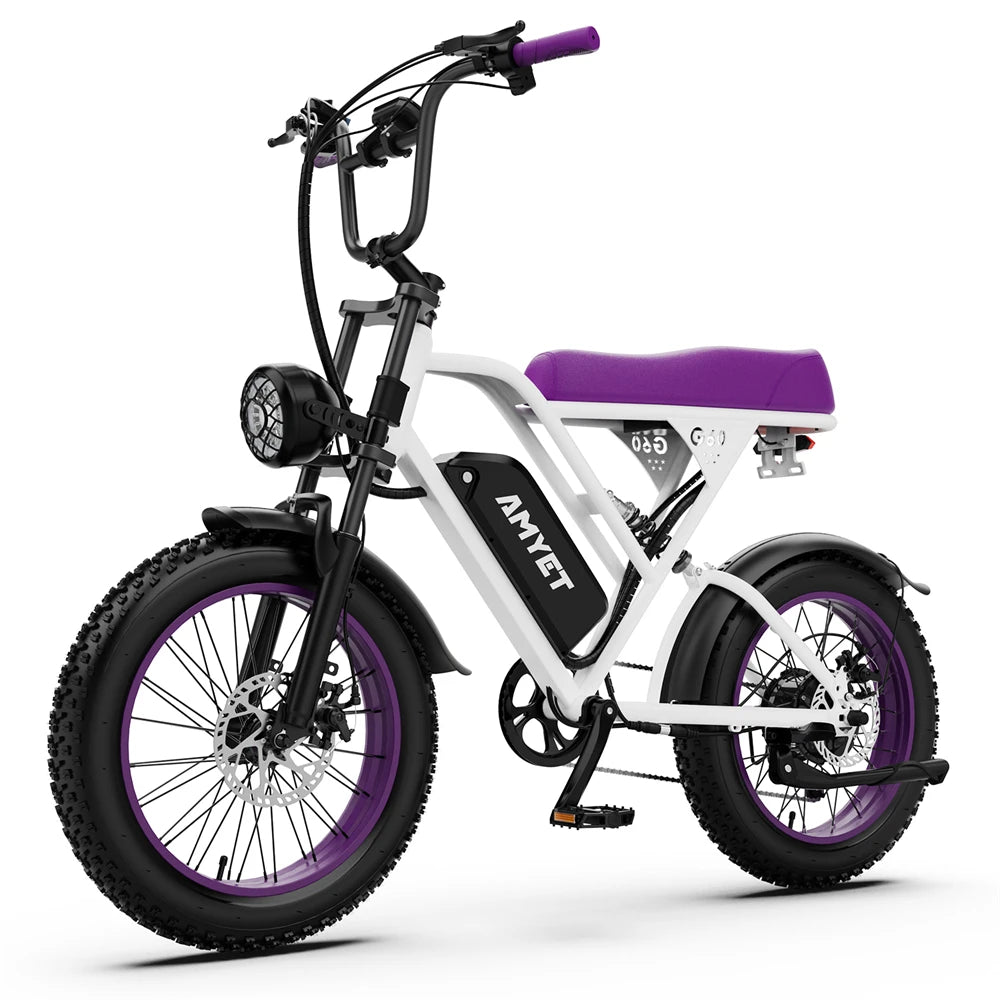1000w Adults Electric Bike