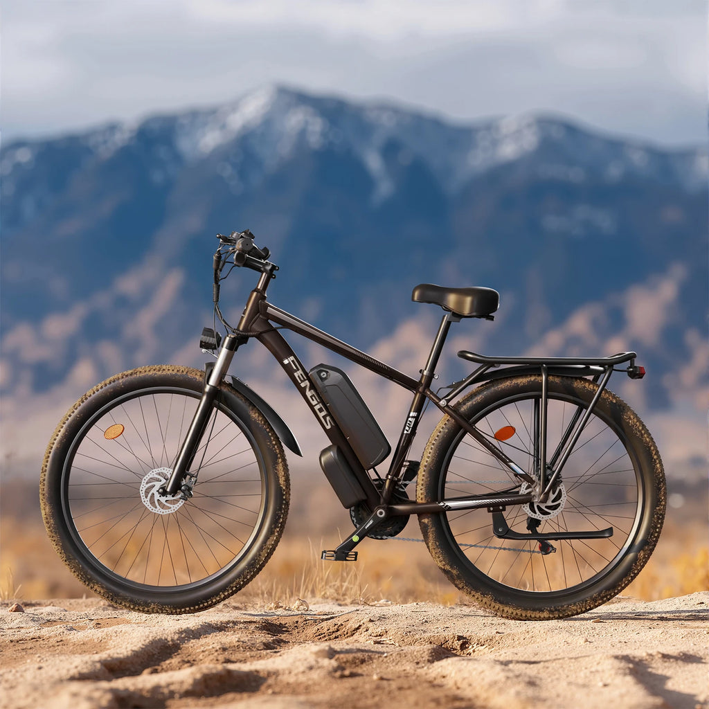 2000W Dual Motor Electric Bicycle