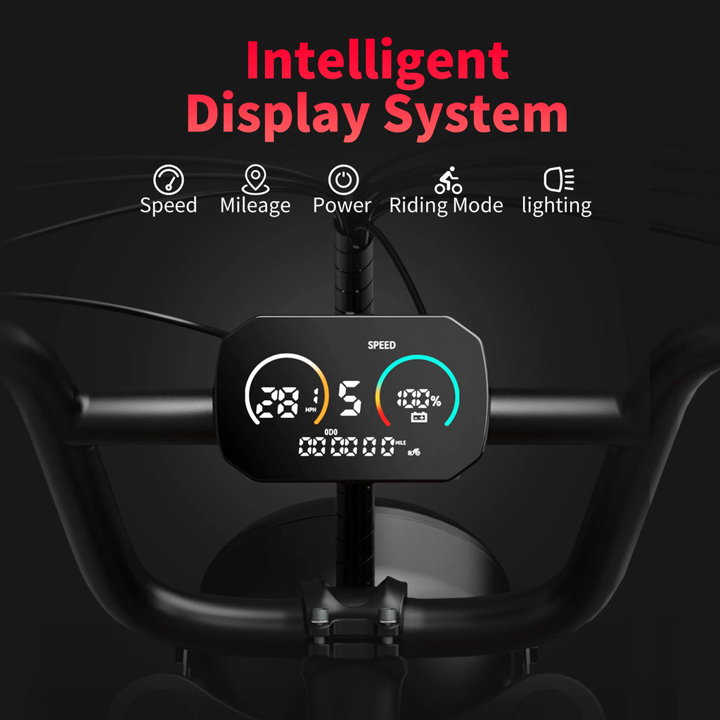 1000w Adults Electric Bike