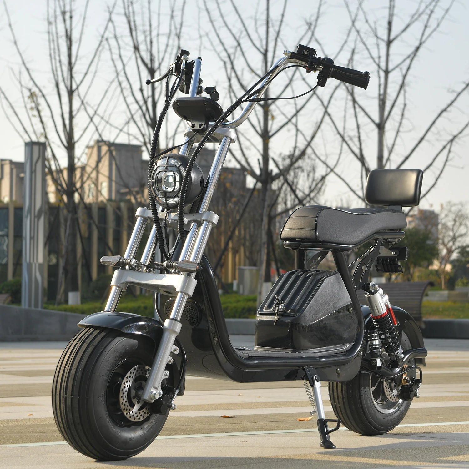 2000W Two Wheel Mobility E-Scooter