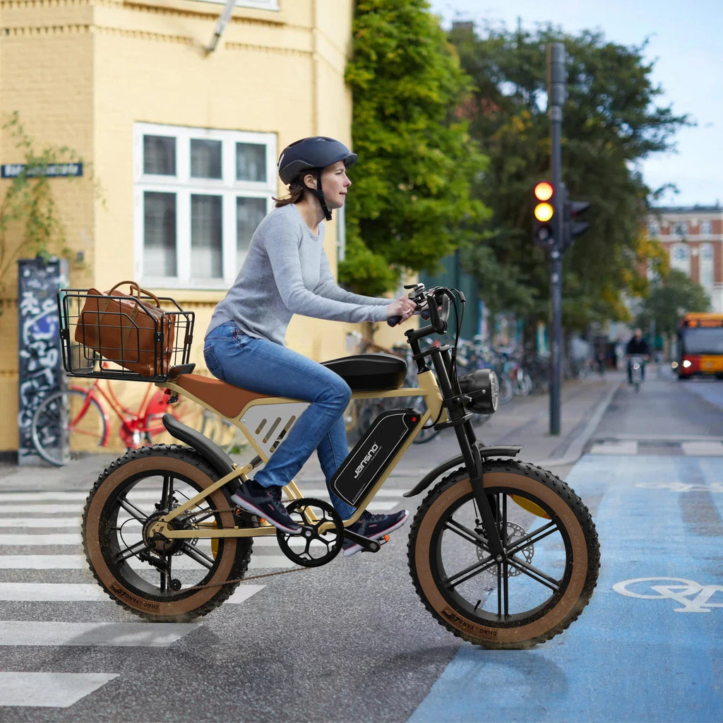 Jansno X70G Adult Electric Bike 750W Motor City ebike Removable Dual Battery: 48v14Ah+48v20Ah 20 inches Fat Tire E-Mountain bike